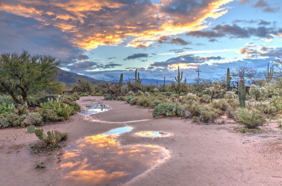 Climate Adaptation in Arizona will Require More Than Just Federal Funding and Luck