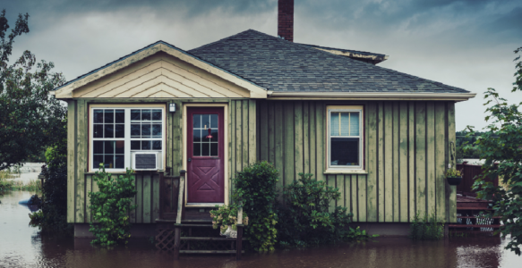 Climate Change and the Future of Catastrophe Insurance Programs